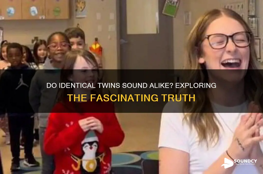 do identical twins sound alike