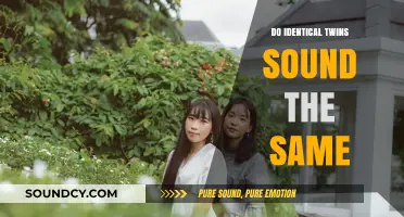 How Unique Are Identical Twins' Voices?