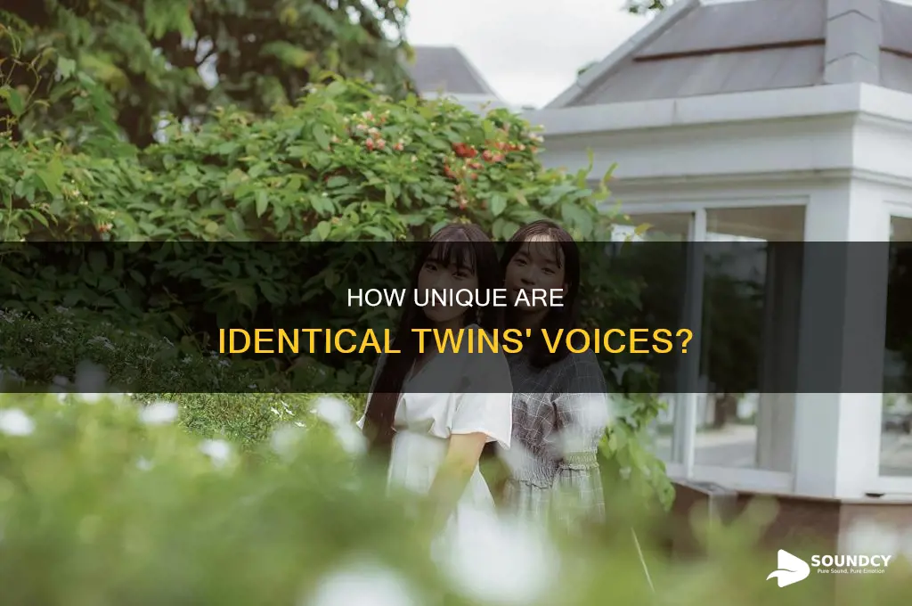 do identical twins sound the same