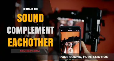 Visuals and Audio: A Perfect Match?