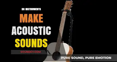 Unveiling Acoustic Truth: Do Instruments Truly Create Natural Sounds?