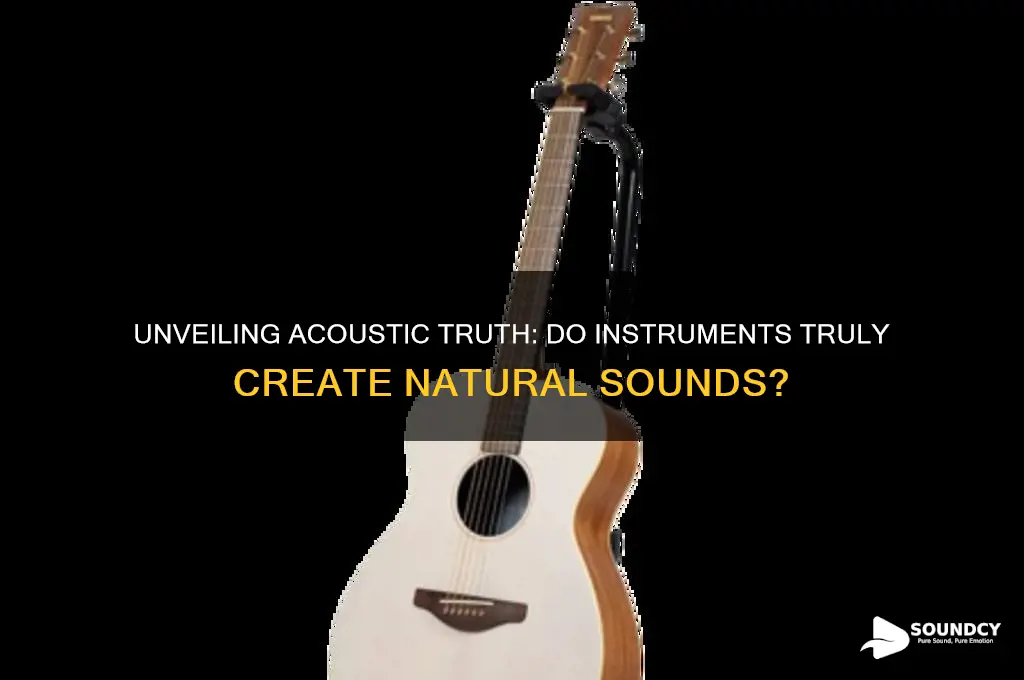 do instruments make acoustic sounds