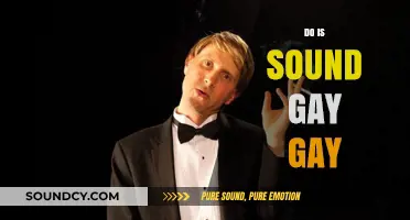 Is 'Do' Sound Gay? Exploring Language, Identity, and Stereotypes