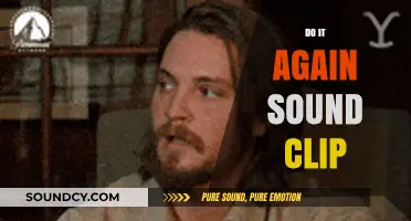 Revisit the Catchy 'Do It Again' Sound Clip: Origins and Impact