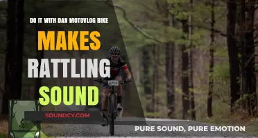 Fixing Dan's Motovlog Bike: Diagnosing and Solving the Rattling Sound