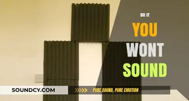 Do It Yourself: Mastering Sound Techniques for Beginners at Home