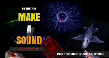 Unveiling the Mystery: Do Jellyfish Produce Audible Sounds?