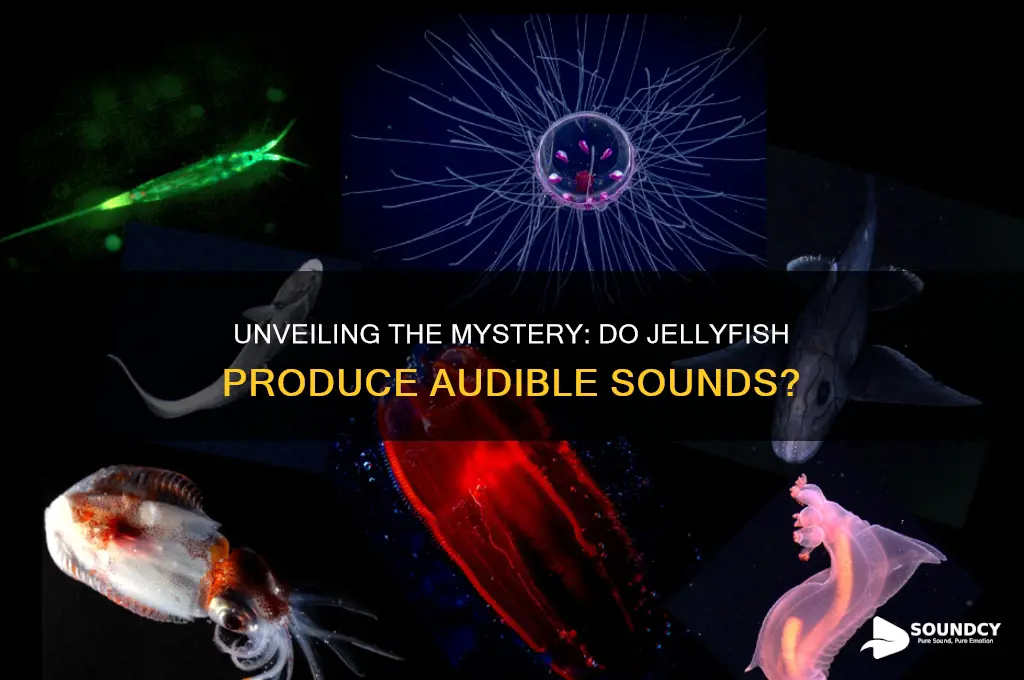 do jellyfish make a sound