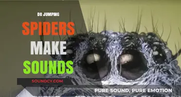 Do Jumping Spiders Make Sounds? Unveiling Their Unique Communication Methods