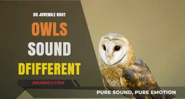 How Hoot Owls' Sounds Change With Age