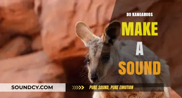 Unveiling the Mystery: Do Kangaroos Make a Sound?