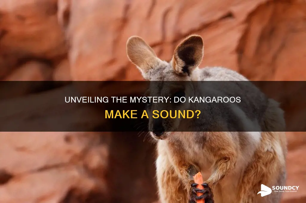 do kangaroos make a sound