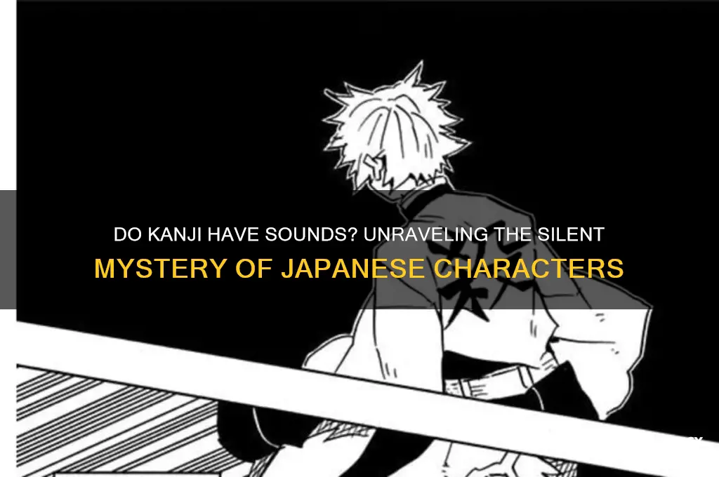 do kanji not have sounds