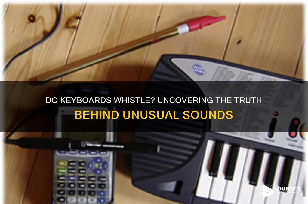 do keyboards have whistling sounds