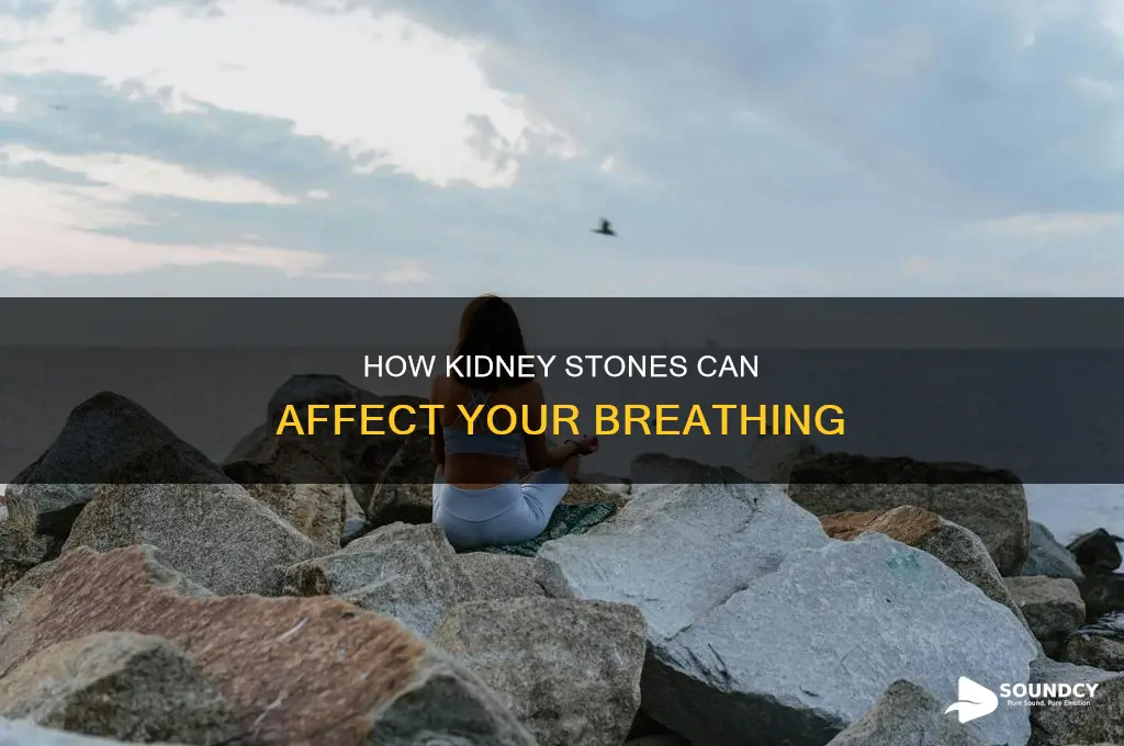 do kidnye stones affect breath sounds
