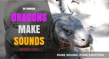 Unveiling the Vocal World: Do Komodo Dragons Make Sounds?