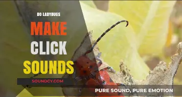 Do Ladybugs Click? Unveiling the Mystery Behind Their Noises