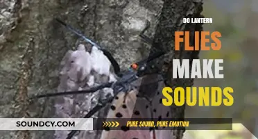 Do Lantern Flies Make Sounds? Unveiling Their Unique Communication Methods