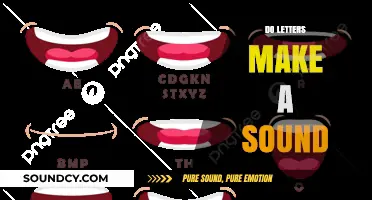 Do Letters Make a Sound? Exploring the Phonetic Connection in Language