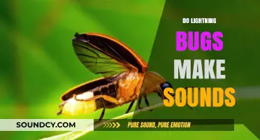 Do Lightning Bugs Make Sounds? Unveiling the Truth Behind Their Silence