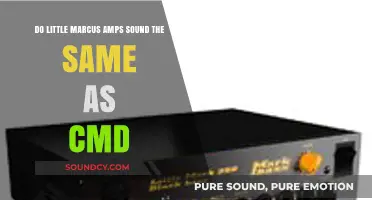 Little Marcus vs CMD Amps: Sound Comparison and Differences