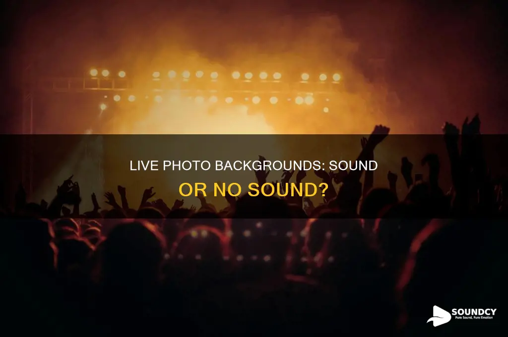 do live photo backgrounds have sound