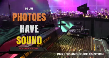 Do Live Photos Capture Sound? Unveiling the Truth Behind Apple's Feature
