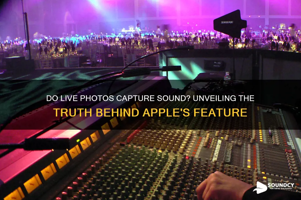 do live photoes have sound