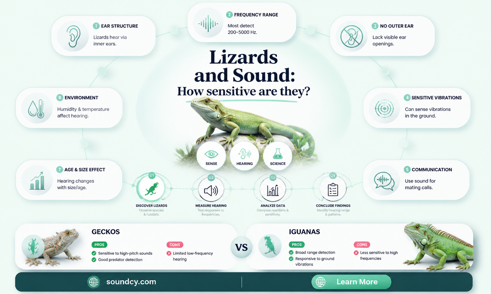 are lizards sensitive to sound