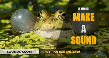 Do Lizards Make Sounds? Exploring Their Vocal Abilities and Communication