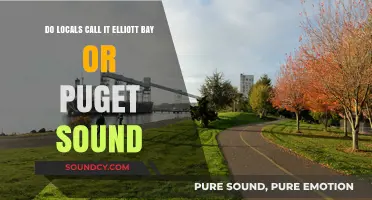 Elliott Bay vs. Puget Sound: What Do Seattle Locals Really Call It?