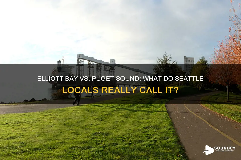 do locals call it elliott bay or puget sound
