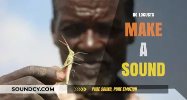Unveiling the Mystery: Do Locusts Produce Sounds and How?