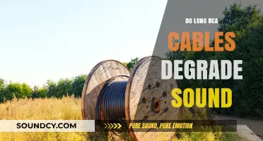 RCA Cables: Lengthy Wires, Degraded Sound?