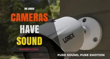 Do Lorex Cameras Have Sound? Exploring Audio Features and Capabilities