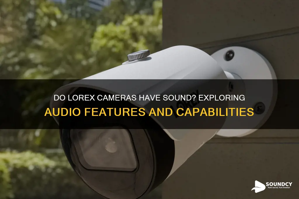 do lorex cameras have sound