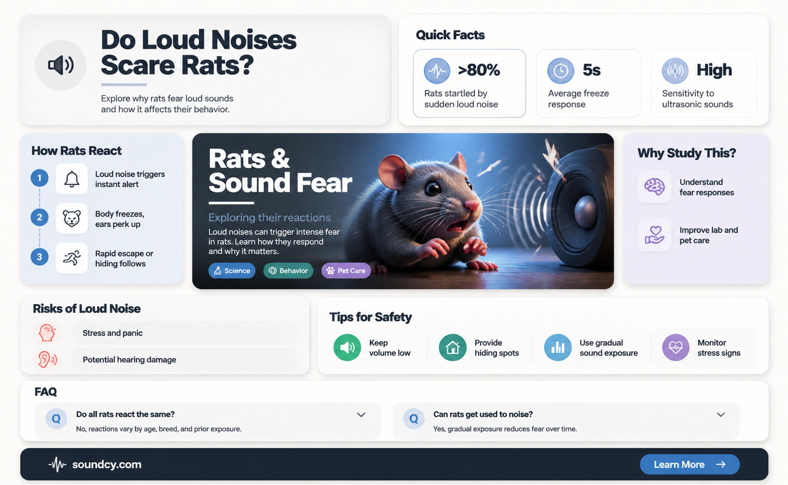 are rats scarred of sound