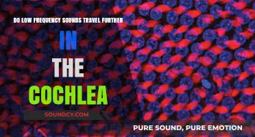 How Low-Frequency Sounds Travel Further in the Cochlea: Explained
