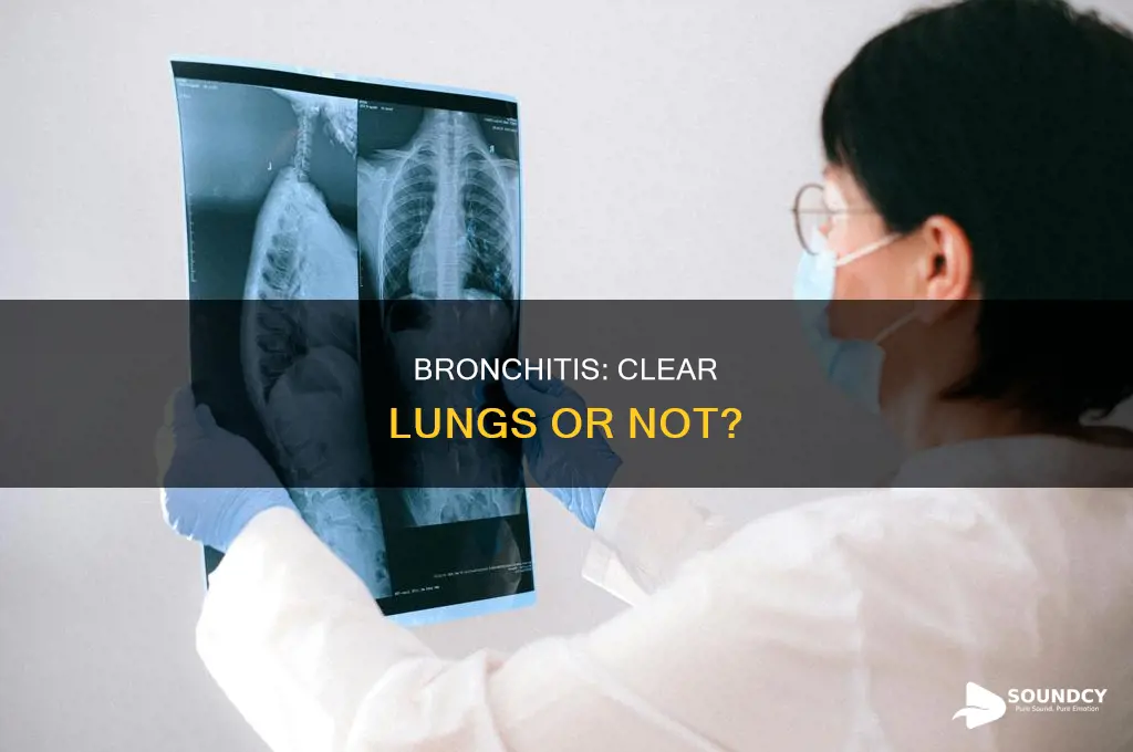 do lungs sound clear with bronchitis