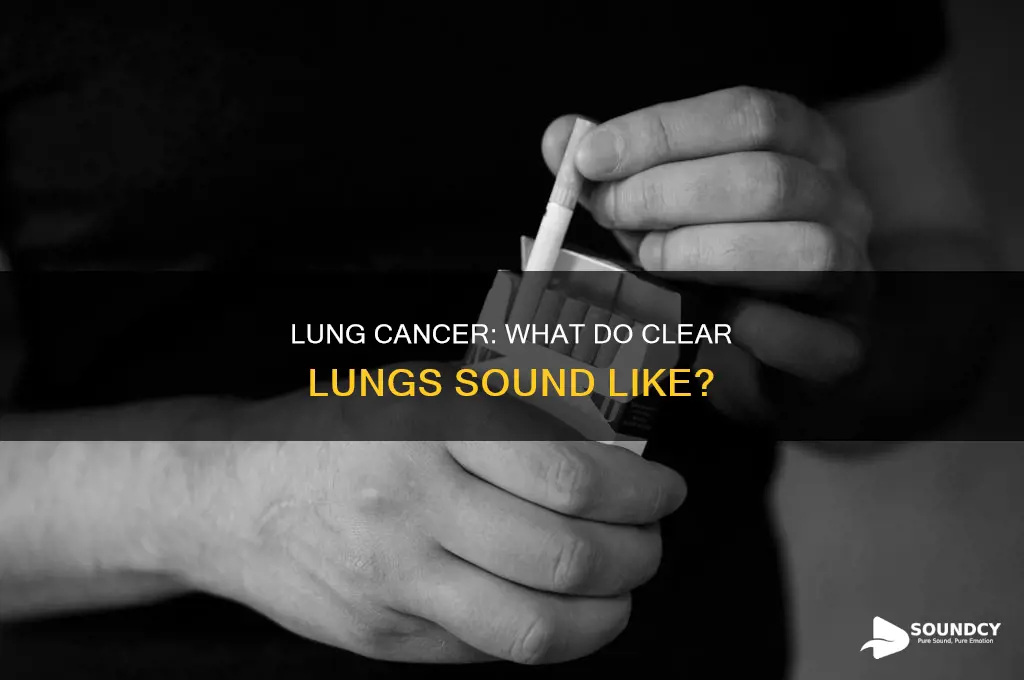 do lungs sound clear with cancer