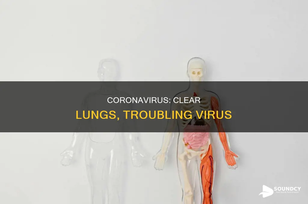 do lungs sound clear with coronavirus