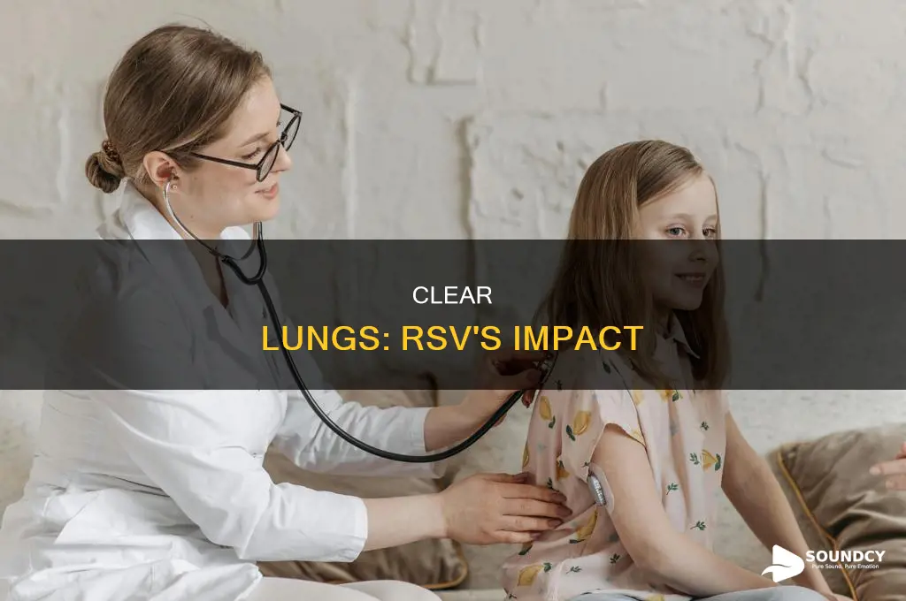do lungs sound clear with rsv