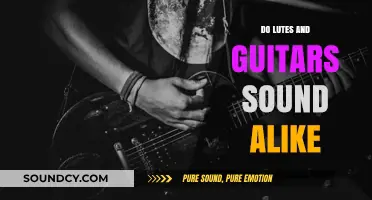 Lute and Guitar: Similar Sounds, Different Instruments