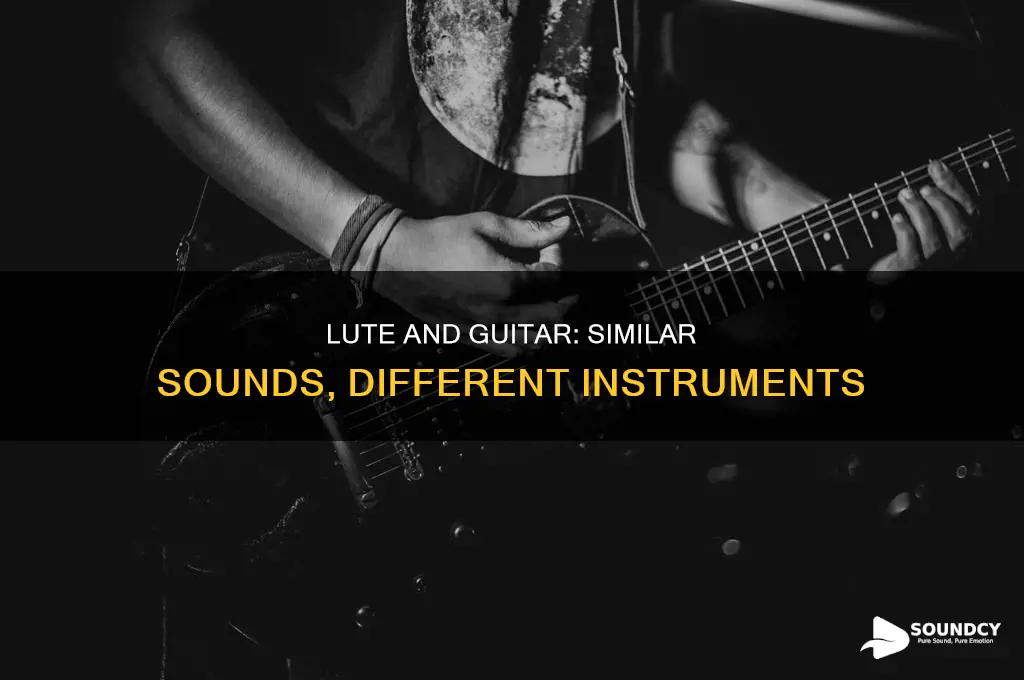 do lutes and guitars sound alike