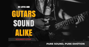 Lutes and Guitars: Similarities in Sound