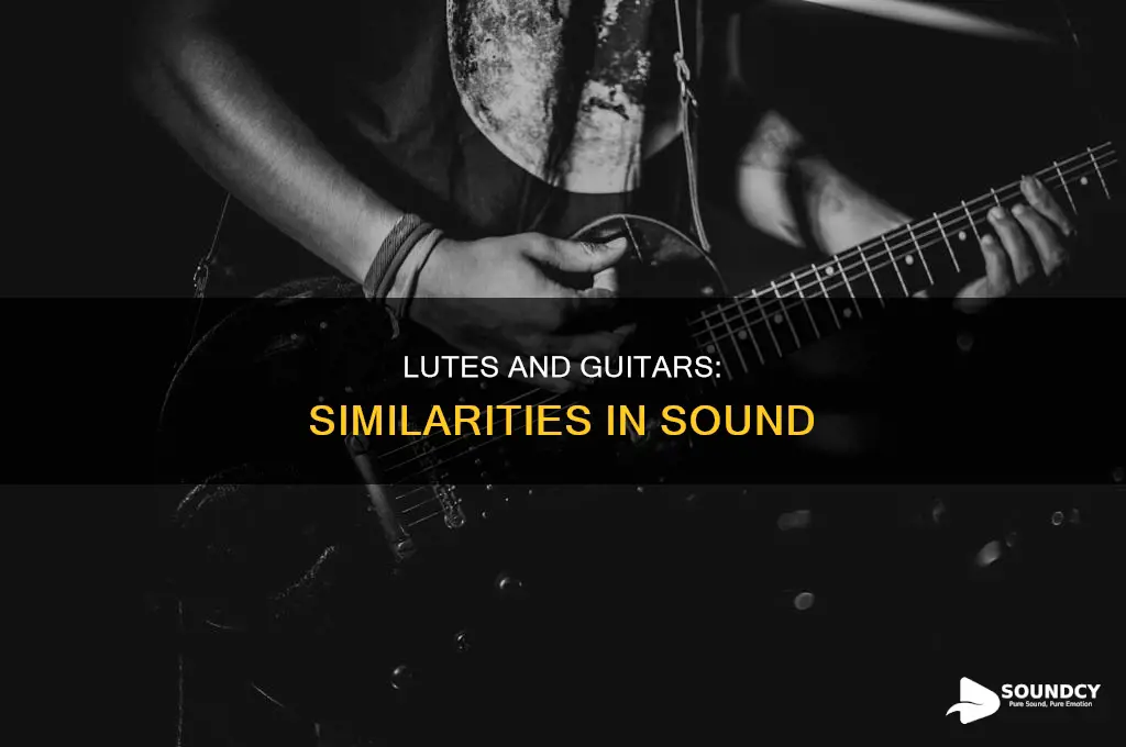 do lutes and gutars sound alike