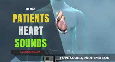 LVAD Patients' Heart Sounds: What to Listen For and Why