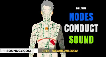 Do Lymph Nodes Conduct Sound? Exploring the Science Behind Acoustic Properties