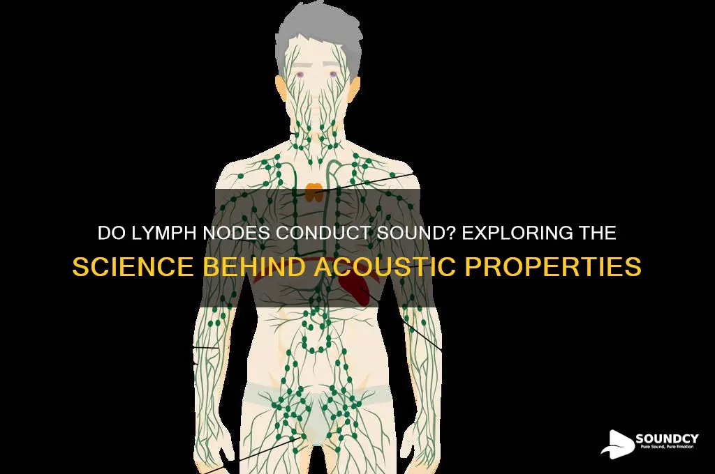 do lymph nodes conduct sound