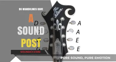 Mandolins' Sound Post: What's the Deal?